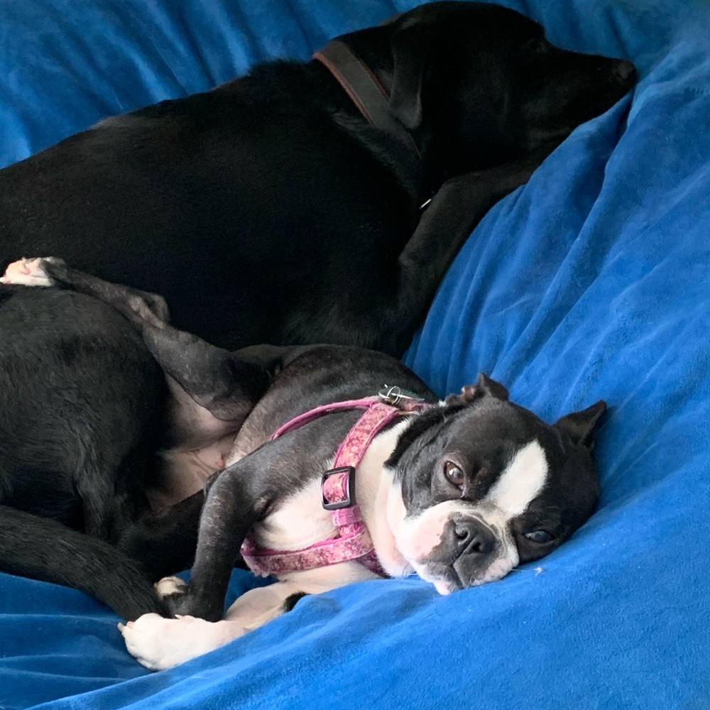 Meet your Posher, Mila